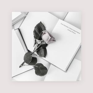 黑人群交广东女人
