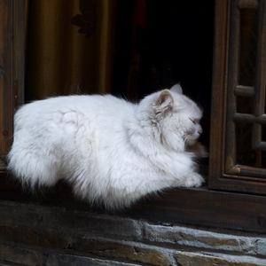 黑人群交广东女人
